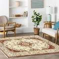 4x6 Rug - Stain Resistant Washable Rug, Anti Slip Backing Rugs for Living Room, Foldable Vintage Small Area Rugs, Red